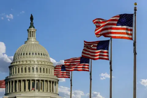 US Capitol dome with multiple American flags waving. This scene evokes patriotism, perhaps a reminder of government contracts and what is fedbizopps.